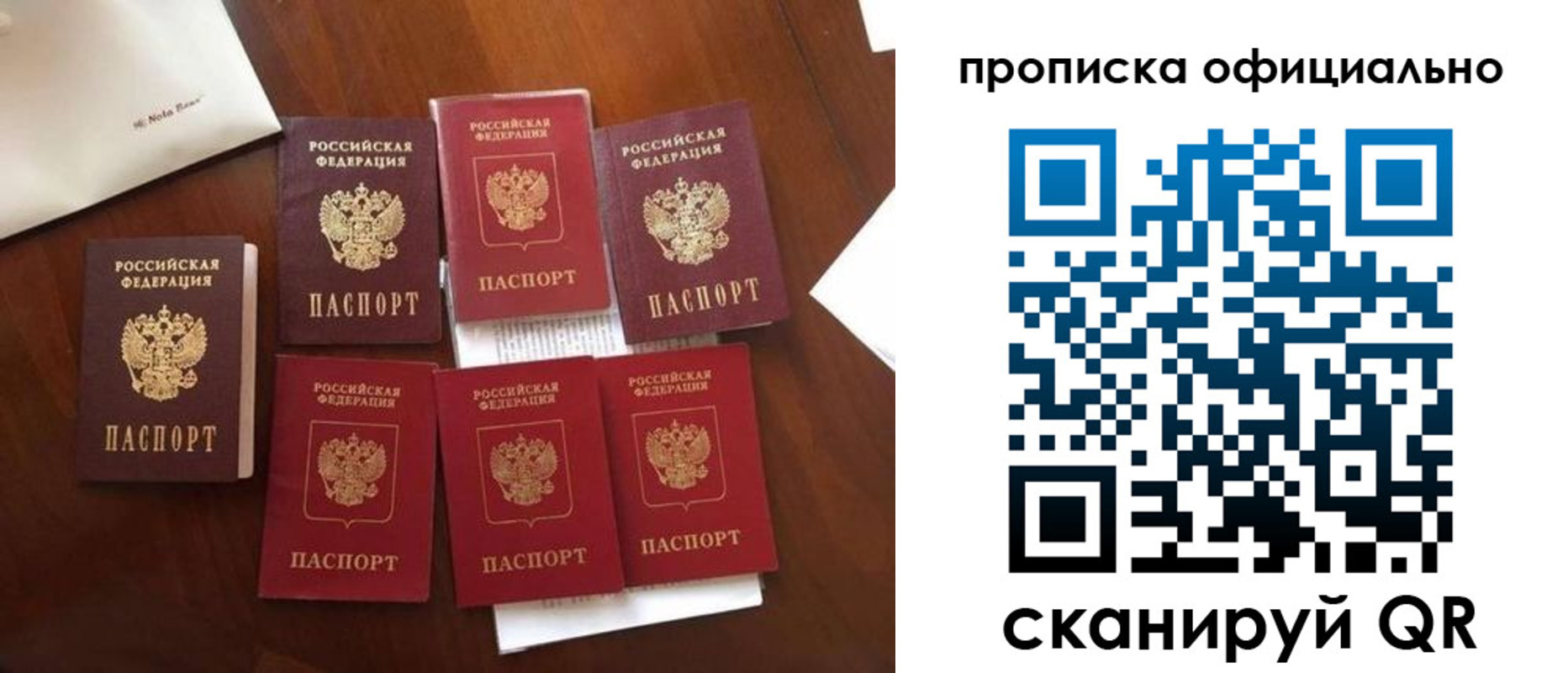 прописка законно в Курганинске